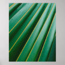 Search for green leaf posters Stripes