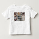 Search for mountain lion tshirts Wildlife