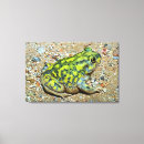 Search for toad picture posters Animal
