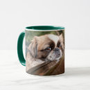 Search for pekingese mugs Puppy