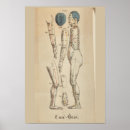 Search for acupuncture posters Meridians