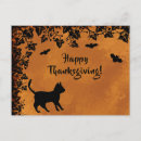 Search for thanksgiving cat postcards Animal