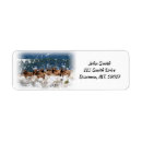 Search for antler return address labels Hunting