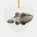 Search for everglades home decor Crocodile