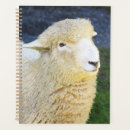 Search for friendly photography Animal