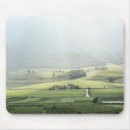 Search for alto electronics Europe