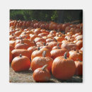 Search for patch magnets Thanksgiving