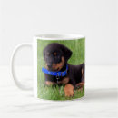 Search for rottweiler mugs Puppy