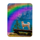 Search for memorial magnets Death