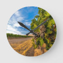 Search for grape clocks Merlot