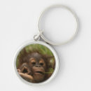 Search for orangutan key rings Ape