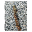 Search for alligator notebooks Reptile