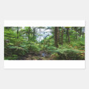 Search for tropical rainforest stickers Green