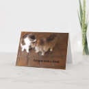 Search for coon cat cards Maine coon cats