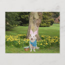 Search for easter egg hunt invitations Dog