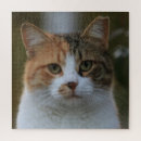 Search for pet photo puzzles Create your own photo