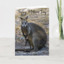 Search for wallabies cards Australia