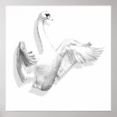 Search for white swan posters Animal