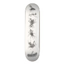 Search for bug skateboards Fly