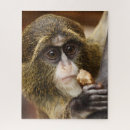 Search for monkey puzzles Cute animals