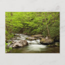 Search for cherokee postcards North carolina