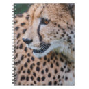 Search for cheetah notebooks Retro