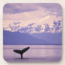 Search for alaska coasters Wildlife