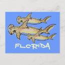 Search for hammerhead shark postcards Sharks