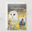 Search for barn owl invitations Bird