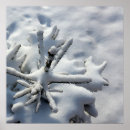 Search for snow covered mountain posters Forest