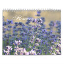 Search for photography calendars Roses