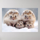 Search for hedgehog art Animal