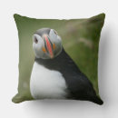 Search for puffin cushions Animals