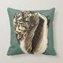 Search for conch shell cushions Coastal