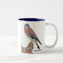Search for kestrel mugs Birds