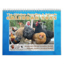 Search for chicken calendars Animal