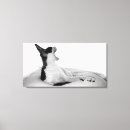 Search for diva art Kitty