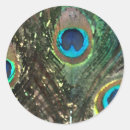 Search for peacock feathers stickers Artistic