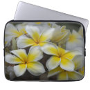 Search for beautiful bloom electronics Nature photography