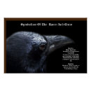 Search for corvidae Animals
