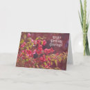 Search for sunshine flower cards Pink