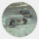 Search for komodo dragon stickers Lizard