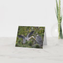 Search for heron cards Bird