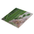 Search for southwest tiles New mexico