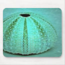 Search for saltwater mousepads Sea
