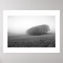 Search for morning mist Countryside