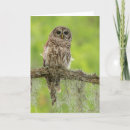 Search for jayne cards Bird