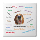 Search for mans tiles Puppy