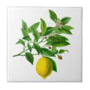 Search for lemon tiles Citrus fruit