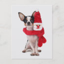 Search for chihuahua christmas cards Small